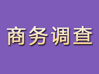 山西商务调查